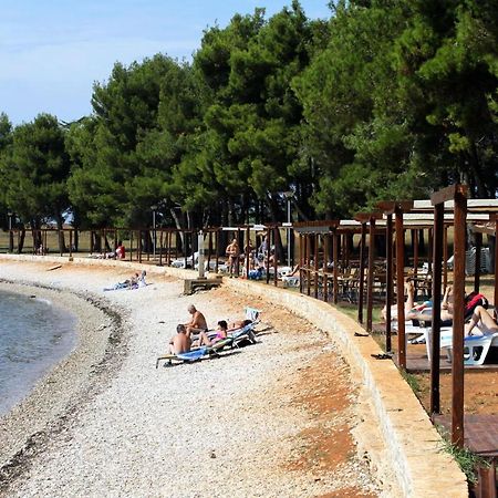 Apartments With A Parking Space Novigrad - 14408 Bagian luar foto